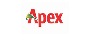 Apex