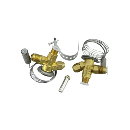 Expansion Valve